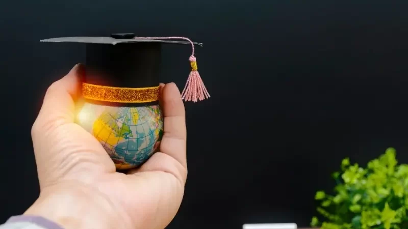 Tipos de pós-graduação no Brasil: saiba quais são as principais!